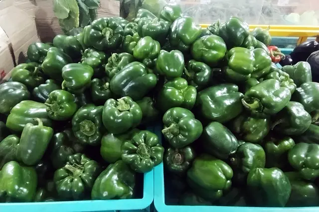 Bangalore Market: Bengaluru Travel Guide (4.1★) — Bengaluru