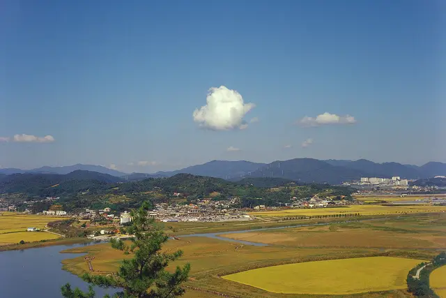 Suncheon Bay — Suncheon