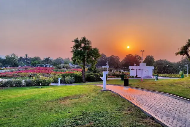 Creek Park: Dubai Travel Guide (4.5★) — Dubai