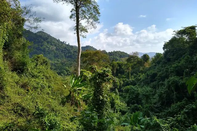 Kep National Park: Travel Guide (4.2★) — Kep
