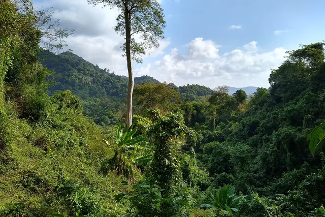 Kep National Park: Travel Guide (4.2★) — Kep