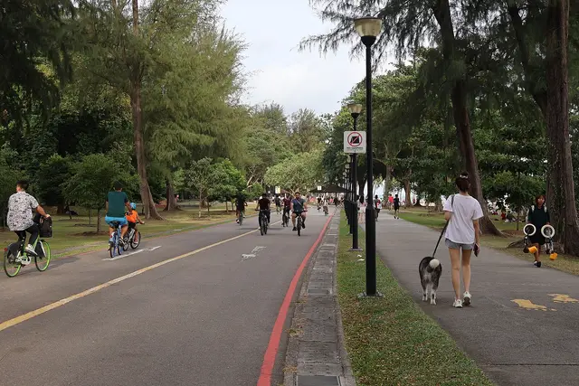 East Coast Park: Katong Travel Guide (4.6★) — Katong