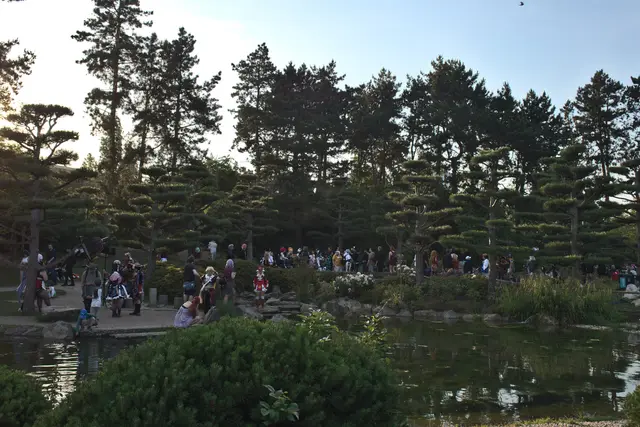 Japanese Garden: Düsseldorf Travel Guide (4.4★) — Düsseldorf