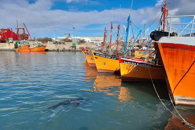 Puerto de Mar del Plata: Travel Guide (4.4★) — Mar del Plata