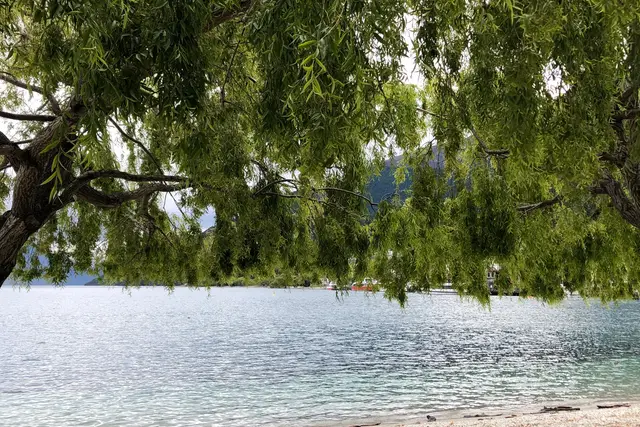 Queenstown Gardens: Travel Guide (4.8★) — Queenstown