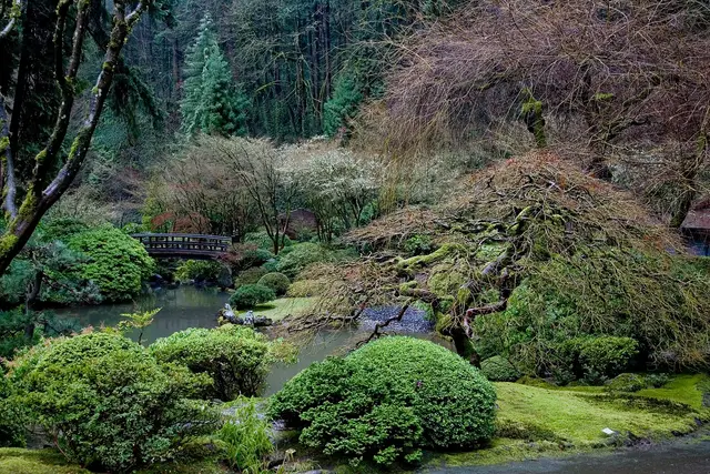 Portland Japanese Garden: Travel Guide (4.6★) — Portland