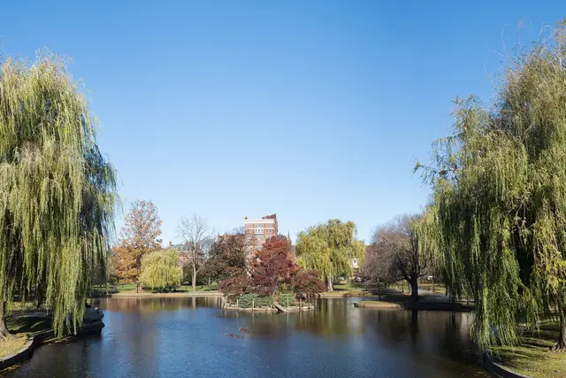 Public Garden: Boston Travel Guide (4.8★) — Boston