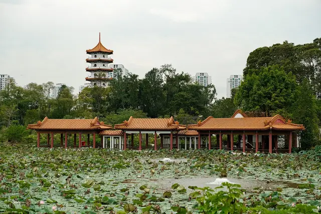 Jurong Lake Gardens: Travel Guide (4.6★) — Jurong