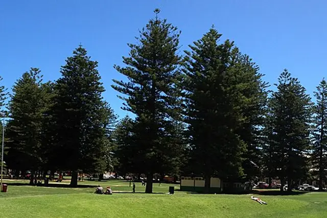 Esplanade Park: Fremantle Travel Guide (4.5★) — Fremantle