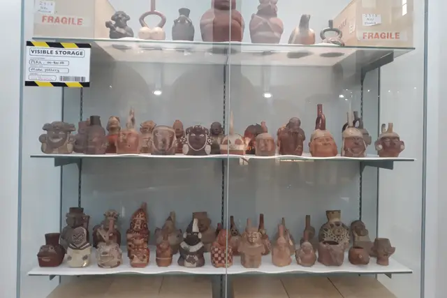 Museum of Archaeology and Anthropology: Cambridge Travel Guide — Cambridge