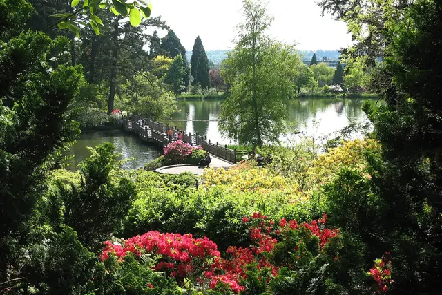 Crystal Springs Rhododendron Garden: Portland Travel Guide — Portland