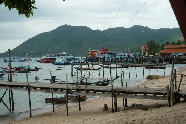 Mae Haad Pier: Koh Tao Travel Guide (4.1★) — Koh Tao