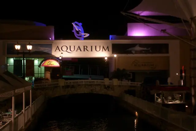 Interactive Aquarium Cancún: Cancun Travel Guide (4.3★) — Cancun