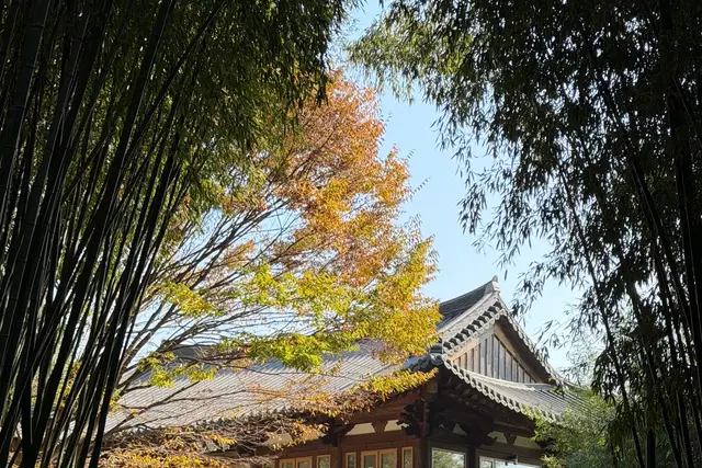 Juknokwon: Damyang Travel Guide — Damyang