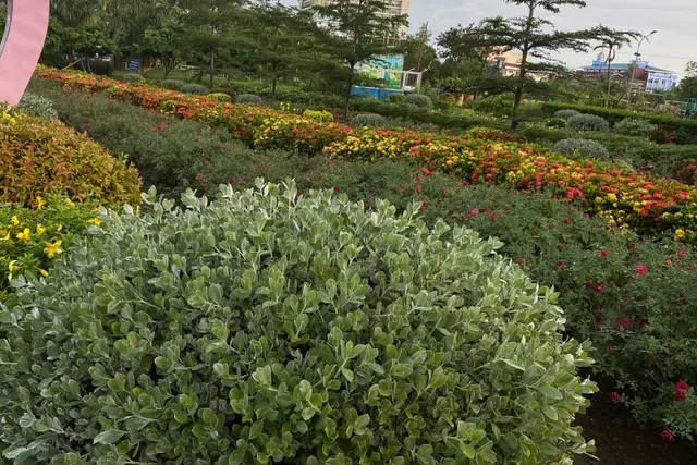 Jardín del Amor de Iloilo City: Guía de viaje — Iloilo