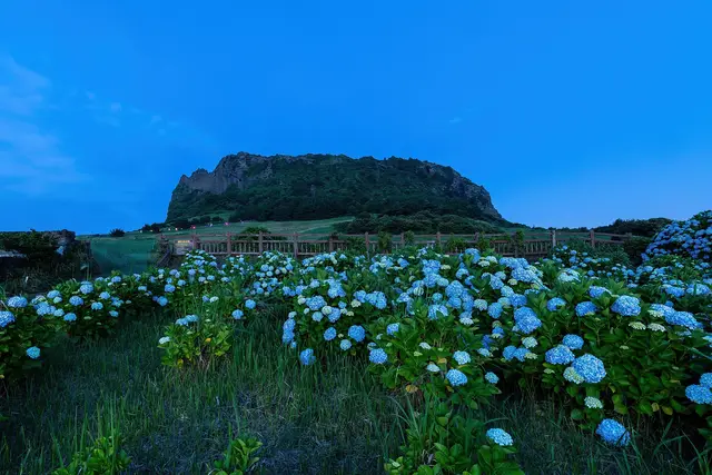 Seongsan Ilchulbong: Jeju Travel Guide — Jeju