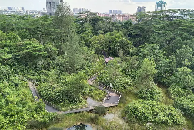 Rifle Range Nature Park: Bukit Timah Travel Guide (4.7★) — Bukit Timah