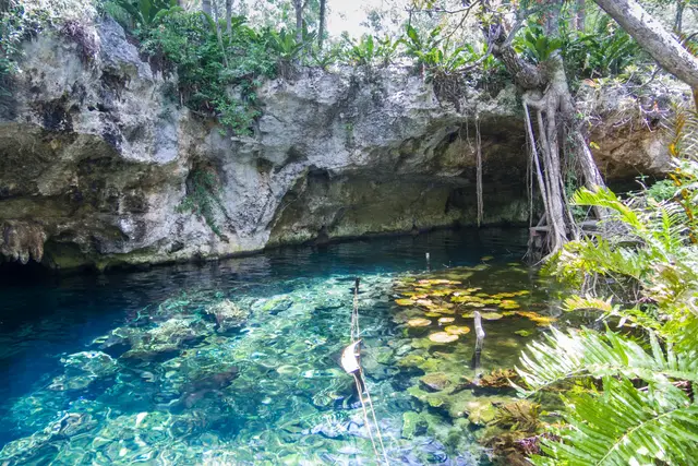 Gran Cenote: Tulum Travel Guide (4.3★) — Tulum