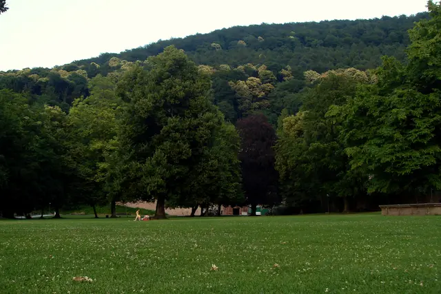 Schlossgarten: Heidelberg Travel Guide (4.7★) — Heidelberg