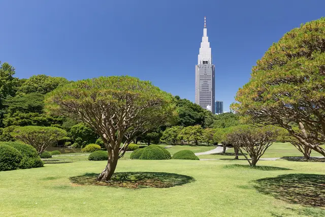 Shinjuku Gyoen National Garden: Tokyo Travel Guide — Tokyo
