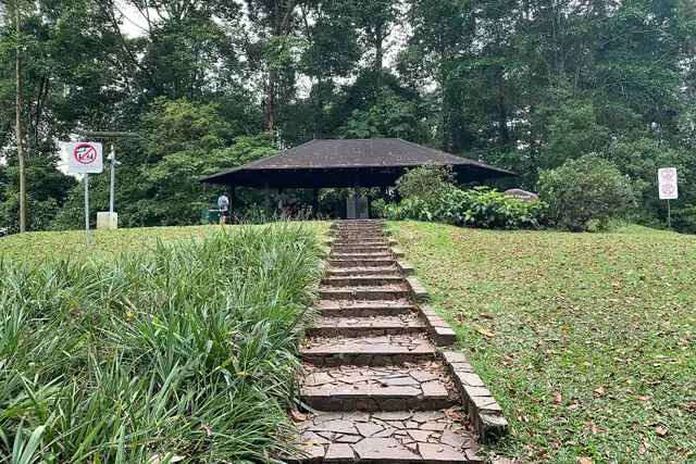 Bukit Timah Nature Reserve: Travel Guide (4.6★) — Bukit Timah