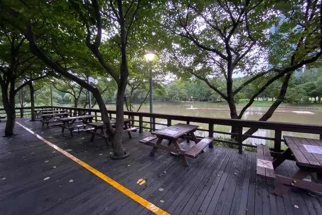 Seoul Forest Park: Travel Guide (4.6★) — Seoul