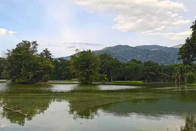 Taiping Lake Garden — Taiping