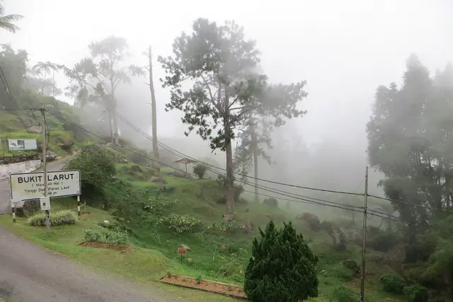 Bukit Larut — Taiping