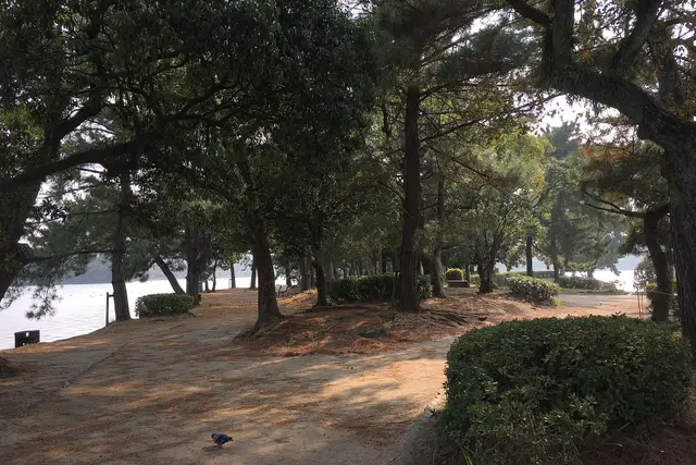 Ohori Park: Fukuoka Travel Guide — Fukuoka