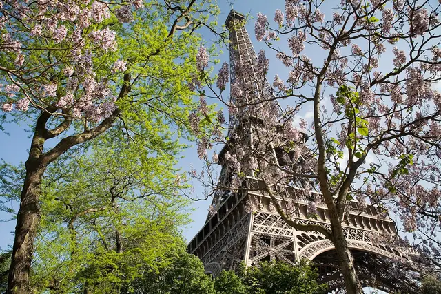 Eiffel Tower — Paris