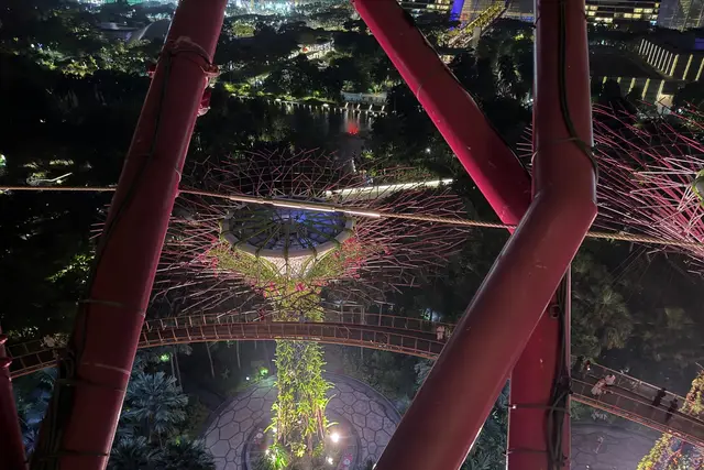 Supertree Grove: Marina Bay Travel Guide (4.7★) — Marina Bay