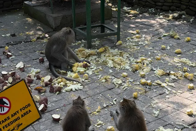 우붓 여행 가이드: 신성한 몽키 포레스트 (Sacred Monkey Forest Sanctuary) (4.5★) — 우붓