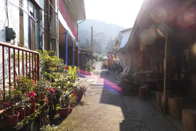 Fenqihu Old Street: Alishan Travel Guide (4.2★) — Alishan