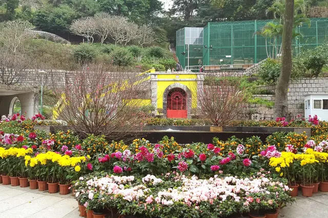 Flora Garden: NAPE Travel Guide (4.2★) — NAPE