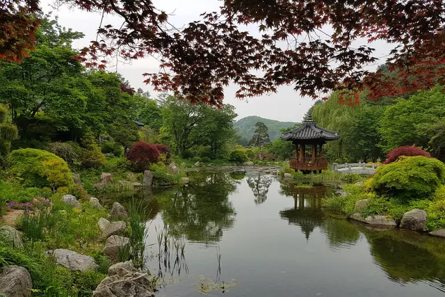 Garden of Morning Calm: Gapyeong Travel Guide — Gapyeong