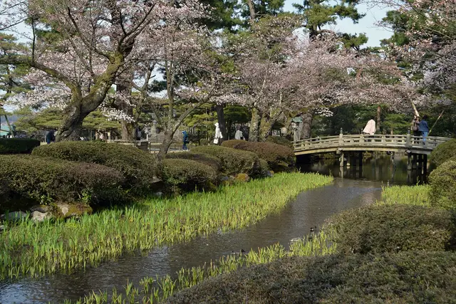 Kenroku-en: Kanazawa Travel Guide — Kanazawa