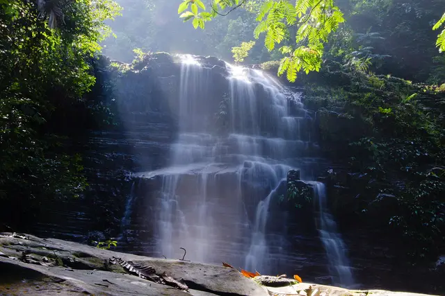 Kubah National Park: Kuching Travel Guide (4.3★) — Kuching