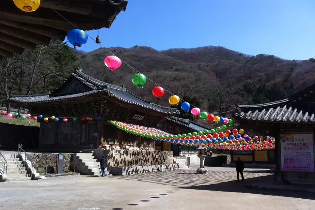 Bogwangsa: Paju Travel Guide (4.5★) — Paju