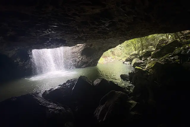 Natural Bridge, Springbrook National Park: Gold Coast Travel Guide — Gold Coast