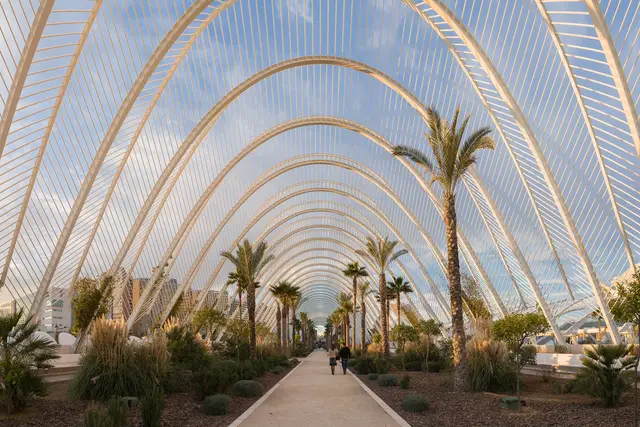 Valencia Marathon (Trinidad Alfonso Zurich Marathon): Dates, Tickets & Venue (Valencia) — Valencia