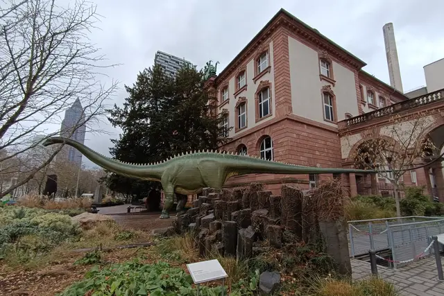 Senckenberg Nature Museum: Frankfurt Travel Guide (4.6★) — Frankfurt