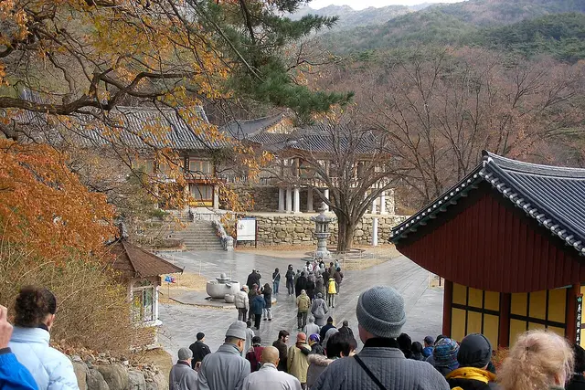 Donghwasa: Daegu Travel Guide (4.4★) — Daegu