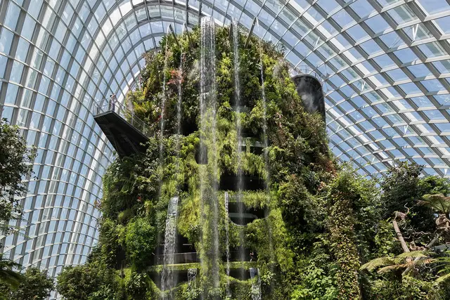 Cloud Forest — Singapore