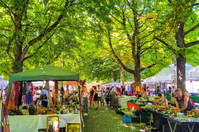 Karlsplatz: Stuttgart Travel Guide (4.5★) — Stuttgart