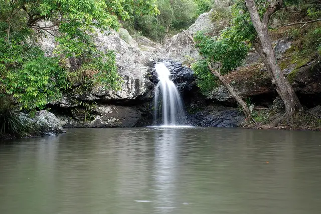 孔达利拉国家公园：阳光海岸旅行指南（4.7★） — 阳光海岸