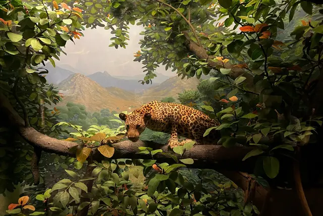 Field Museum: Chicago Travel Guide (4.7★) — Chicago