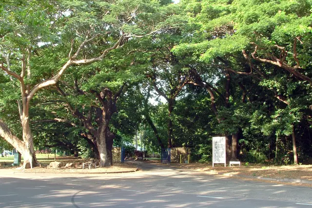 George Brown Darwin Botanic Gardens: Travel Guide (4.5★) — Darwin