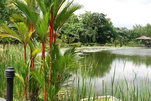 Singapore Botanic Gardens: Dempsey Hill Travel Guide (4.7★) — Dempsey Hill