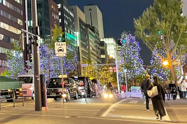 Midosuji Illumination: Dates, Tickets & Venue (Osaka) — Osaka
