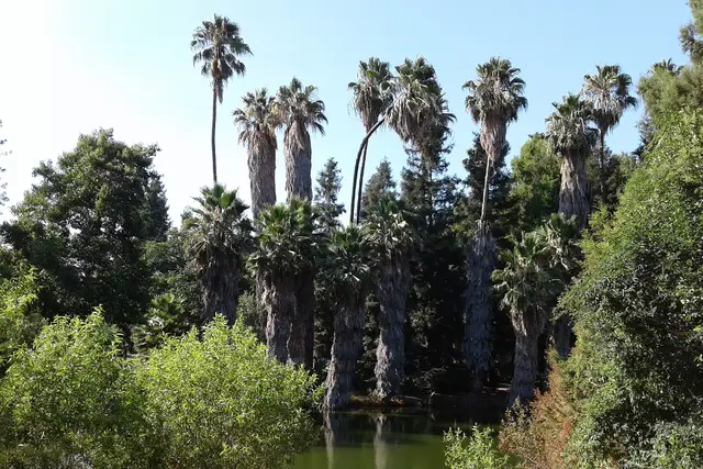 Los Angeles County Arboretum & Botanic Garden: Travel Guide — Los Angeles